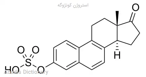 استروژن کونژوگه